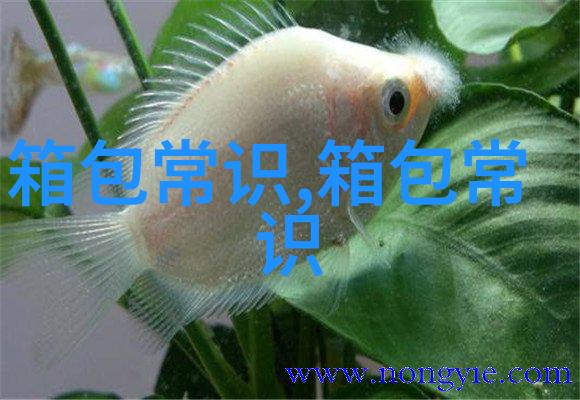 梨形身材秋装怎么搭配好看