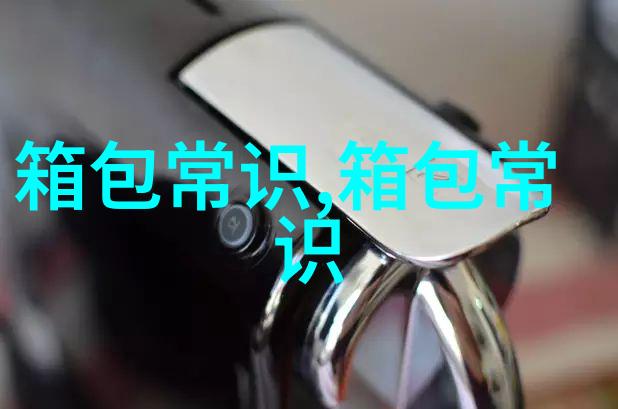 风格与奢华并存深入了解Halston女包的魅力